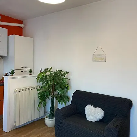 Swing House Apartament Mestre
